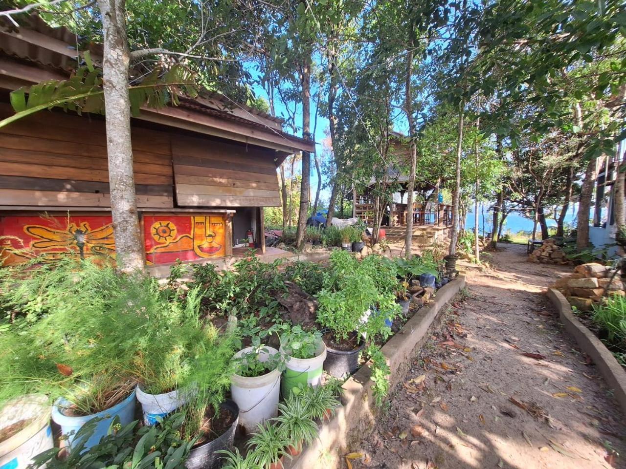 Dragonfly Guesthouse Koh Rong Samlon Eksteriør billede