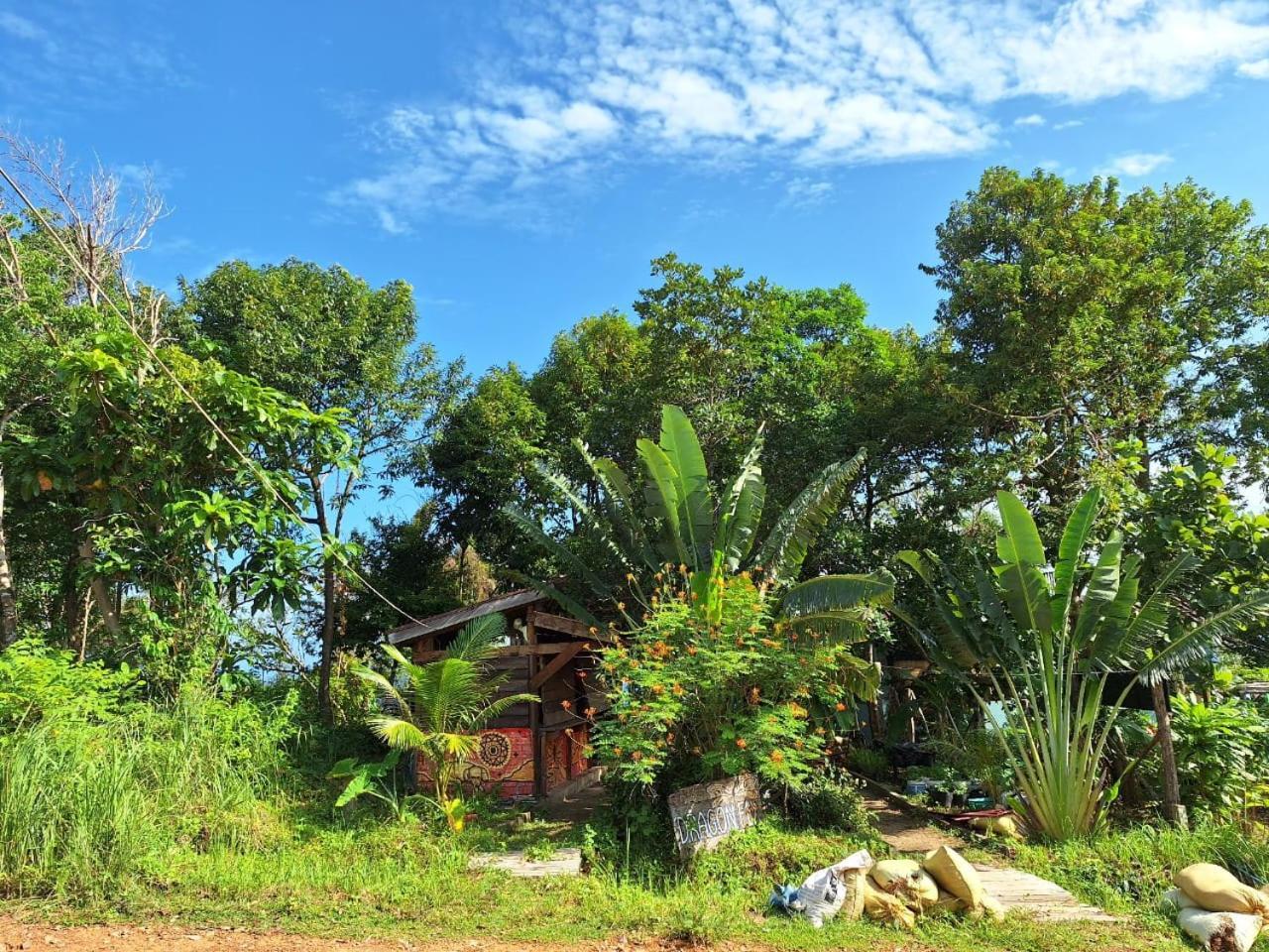 Dragonfly Guesthouse Koh Rong Samlon Eksteriør billede