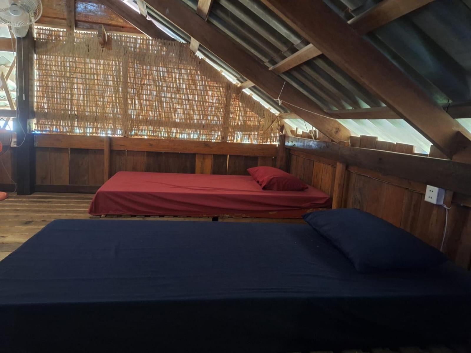 Dragonfly Guesthouse Koh Rong Samlon Eksteriør billede